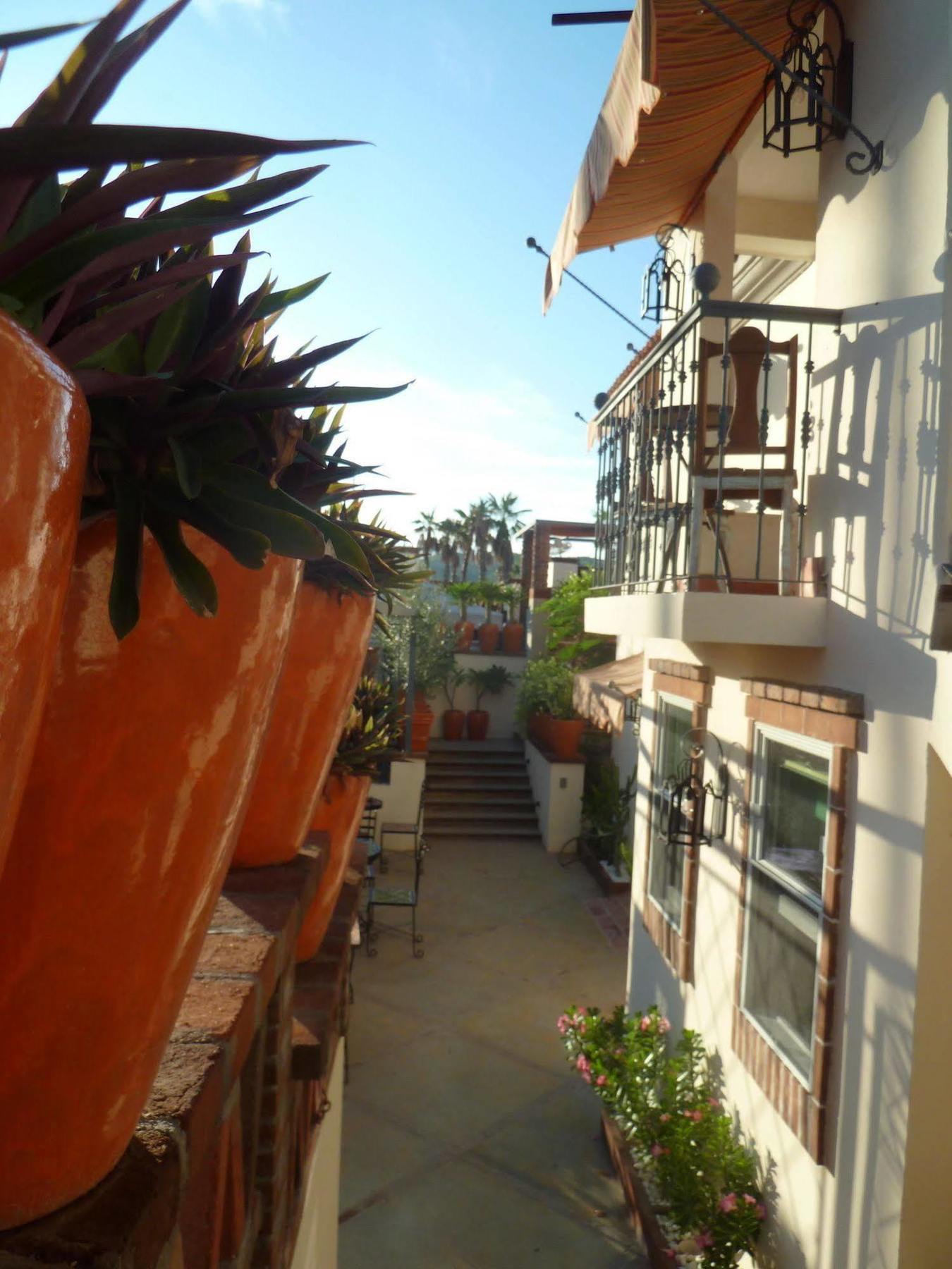 The Suites By Villa Valentina San José del Cabo Exteriér fotografie