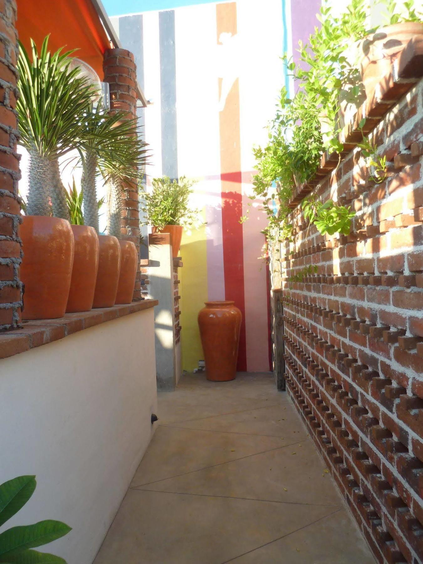 The Suites By Villa Valentina San José del Cabo Exteriér fotografie